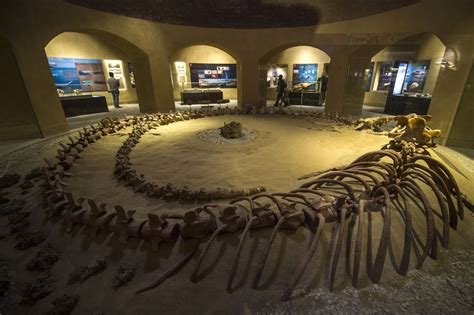  Jinchang Geological Museum: En Bergtur Med Fossila Överraskningar!