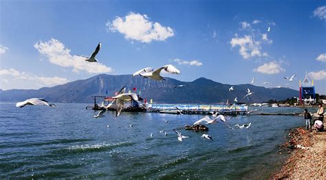 Maoming Dianchi Lake! En pittoresk sjö med en fascinerande historia!