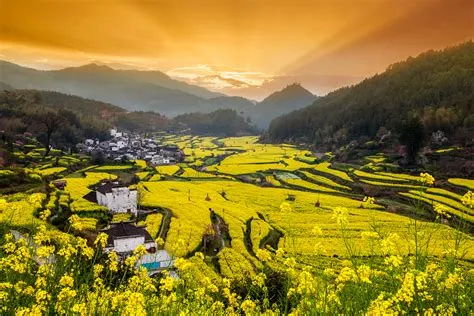  Wuyuan County, Enchanting Views and Historical Charm!